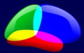 Mricro download