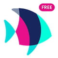 Download pof for pc