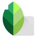 Download Snapseed (Photo editing)