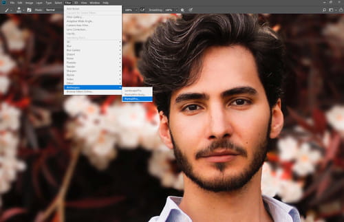 portrait professional photo editing software free download