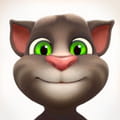 Talking tom cat