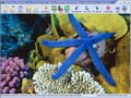Download Easy Photo Slide show (Slide show)
