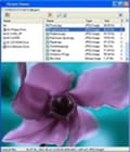 Latest update photo viewer