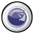 Wamp server offline