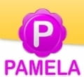 Pamela skype recorder free download