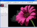 Photo to cartoon converter software free download full version