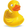 Download Cyberduck (FTP)
