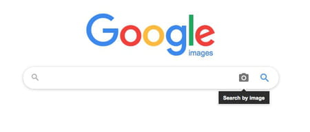 Google image reverse search screenshot