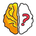 Brain out
