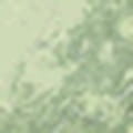 Google terrain map download