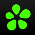Tiktok "icq.im