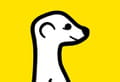 Meerkat live stream app download
