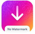 Tiktok video downloader