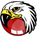 Blackhawk browser