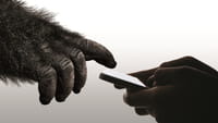 Gorilla Glass 6 Survives Multiple Drops