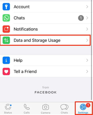 WhatsApp automatic download