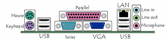Connectors on the rear panel
