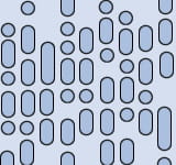 Surface of a DVD-ROM