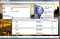 Flv player