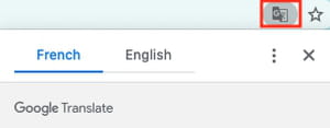 Google translate icon