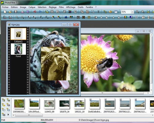 PHOTOFILTRE GRATIS ITALIANO SCARICA