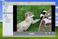 Download DoubleTwist (Download)