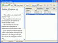 Download Bible Bright Reader (Professional)