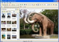 Jpeg editor