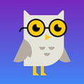 Socratic app download