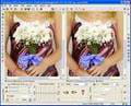 Jpeg compressor download