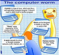 Graphic illustrating what a computer worm is and what it does Graphic illustrating what a computer worm is and what it does
