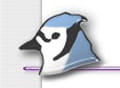 Latest version of bluej