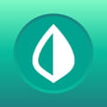 Intuit mint
